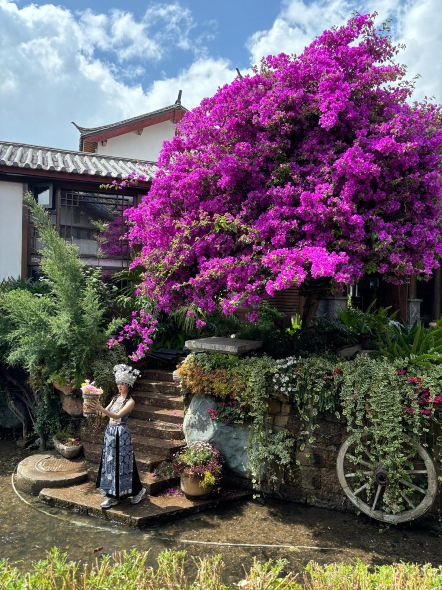 Juxian Boutique Homestay ลี่เจียง ภายนอก รูปภาพ
